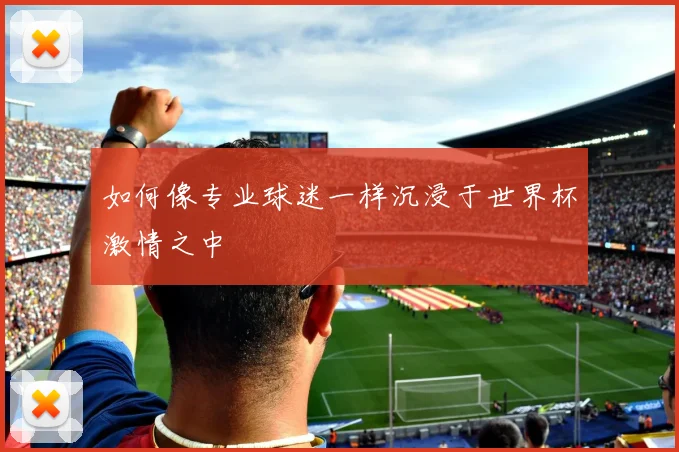 如何像专业球迷一样沉浸于世界杯激情之中
