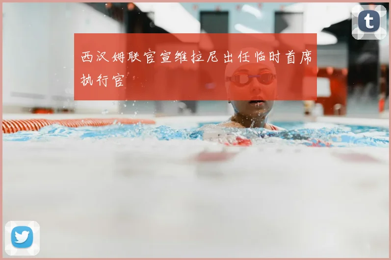 西汉姆联官宣维拉尼出任临时首席执行官