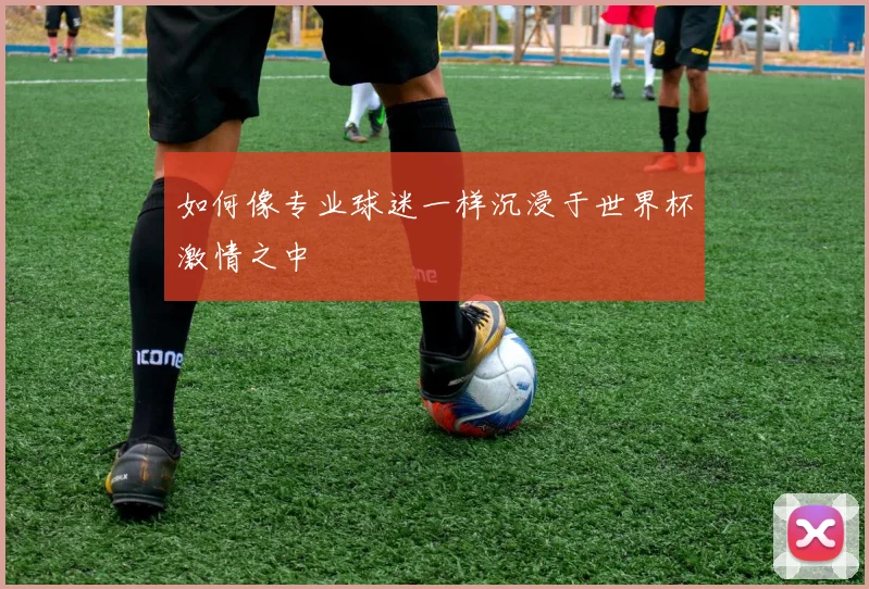 如何像专业球迷一样沉浸于世界杯激情之中